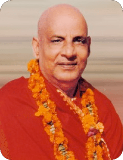 A Dialogue with a Swami